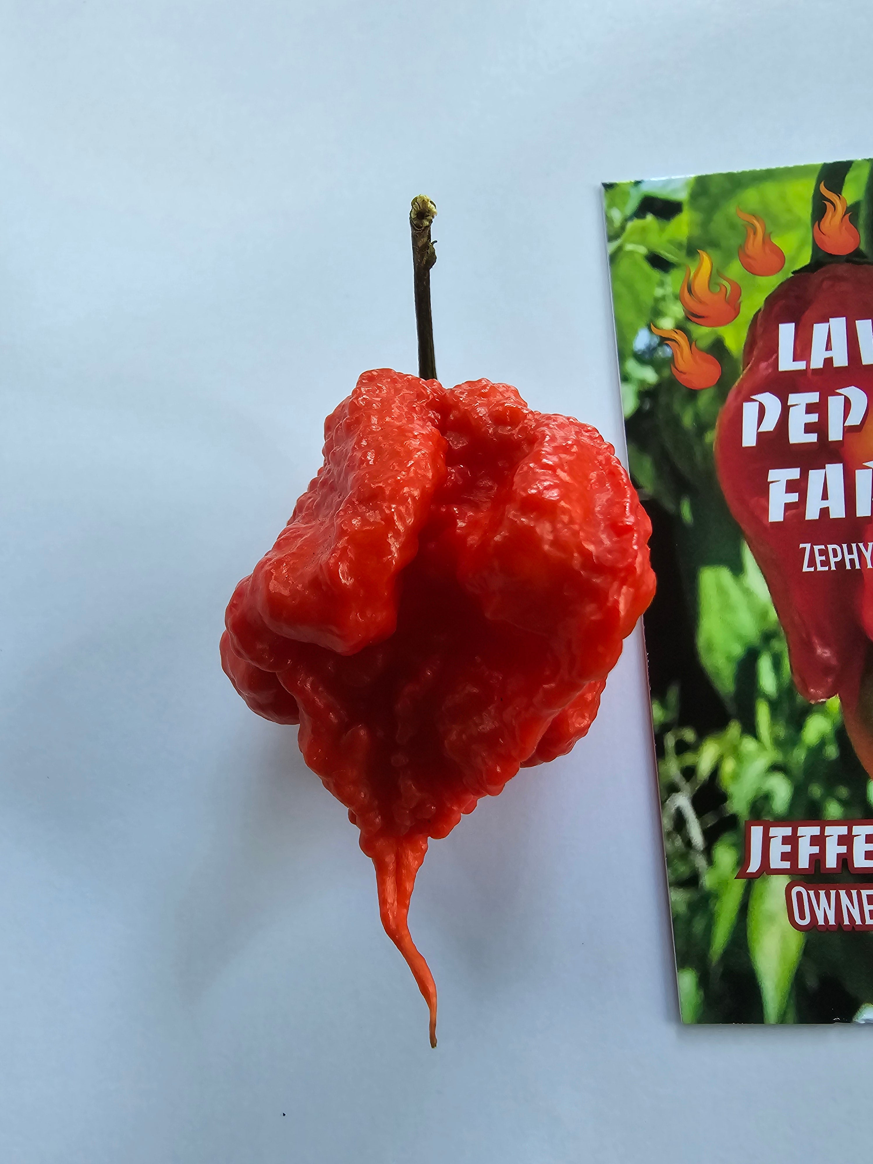 7 pot primo. 10 seeds