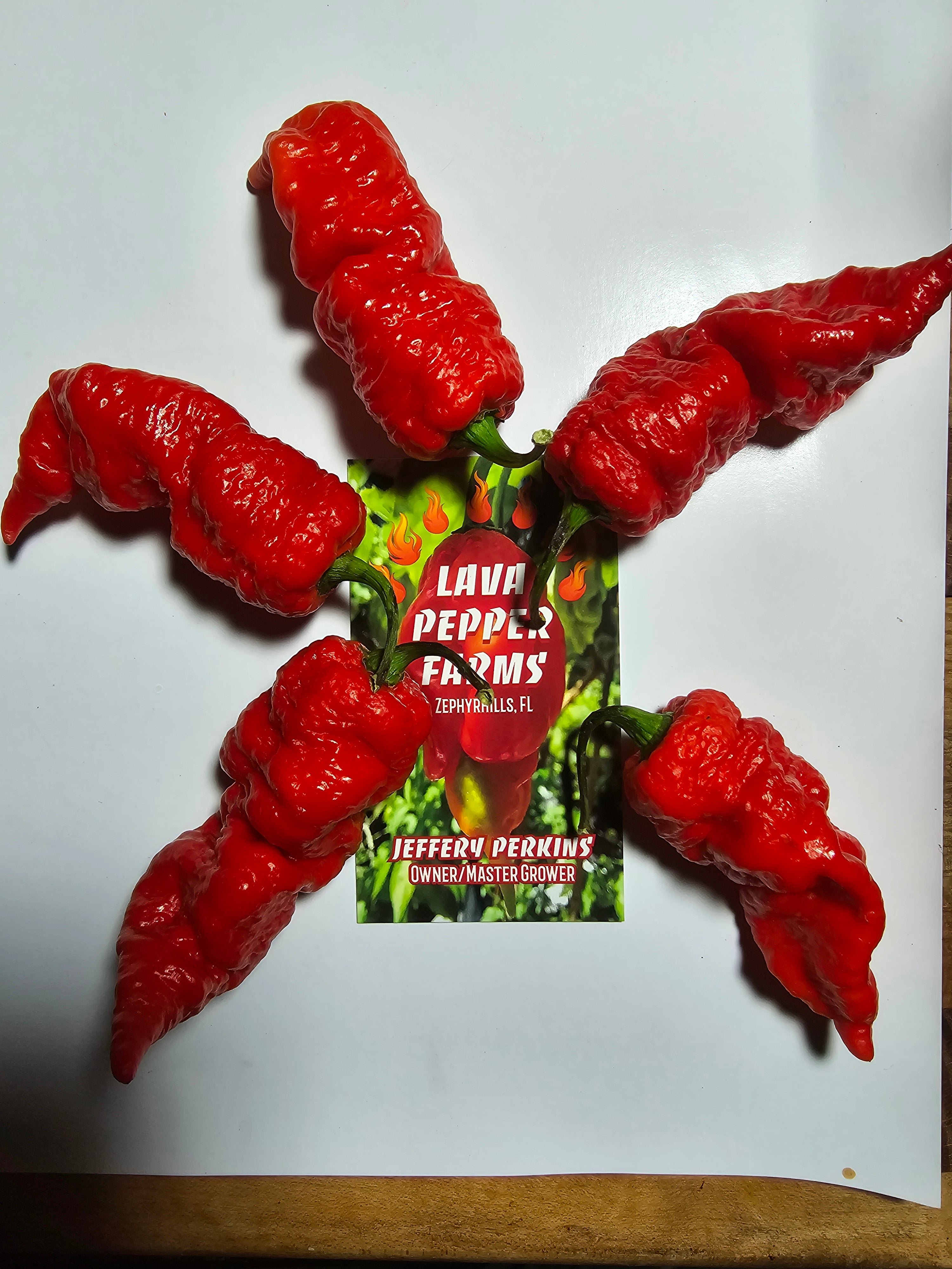 Leviathan gnarly red  10 seeds