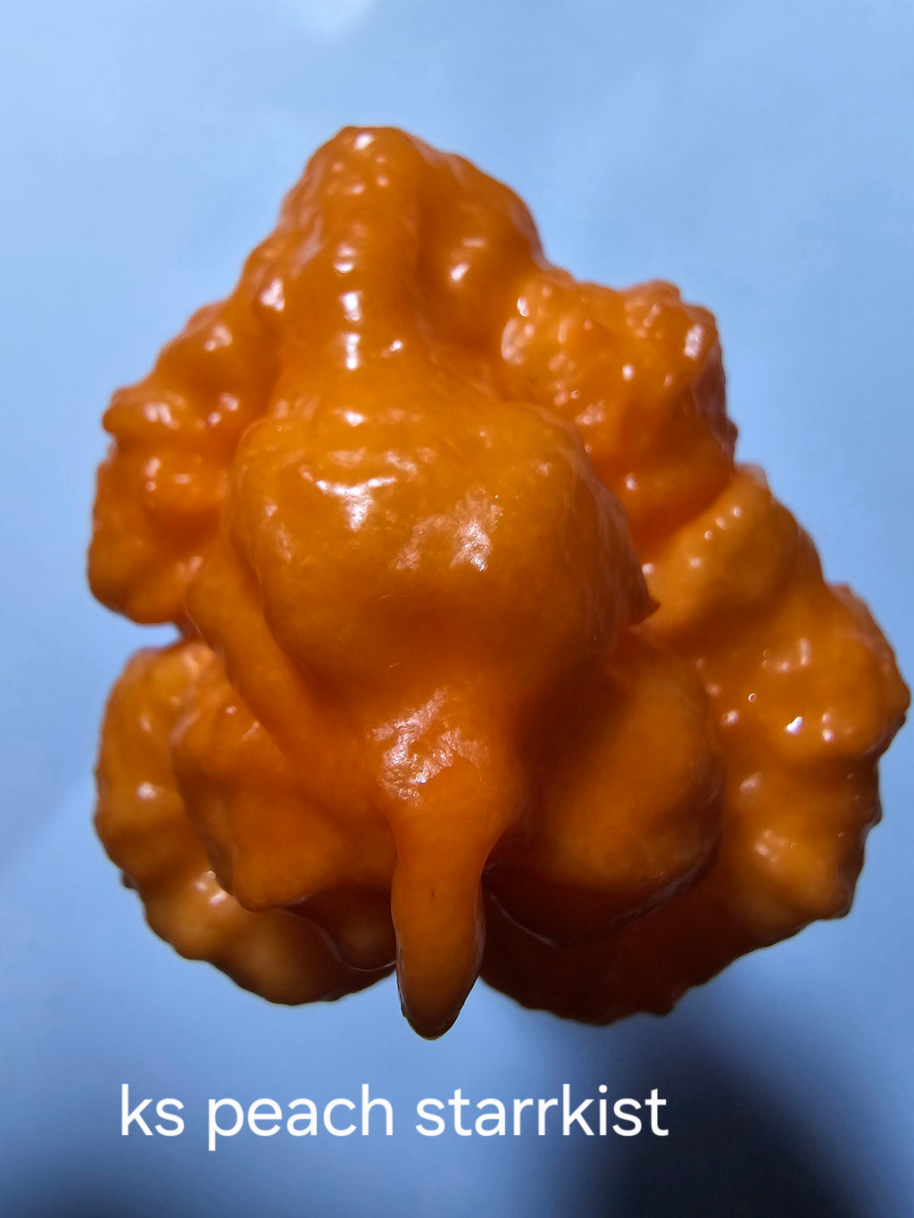 Ks peach starrkist. 10 seeds