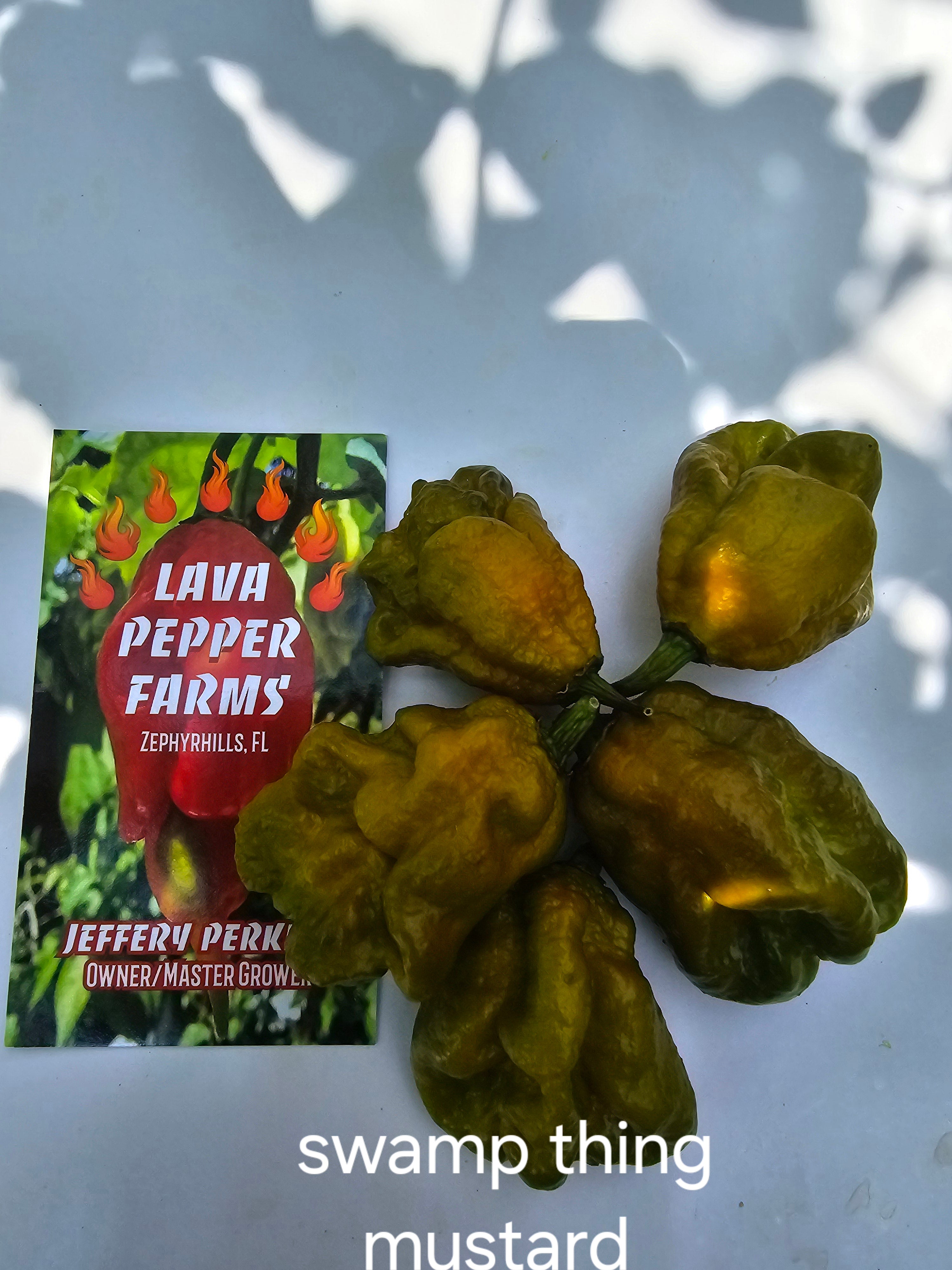 Swamp thing mustard. 10 seeds