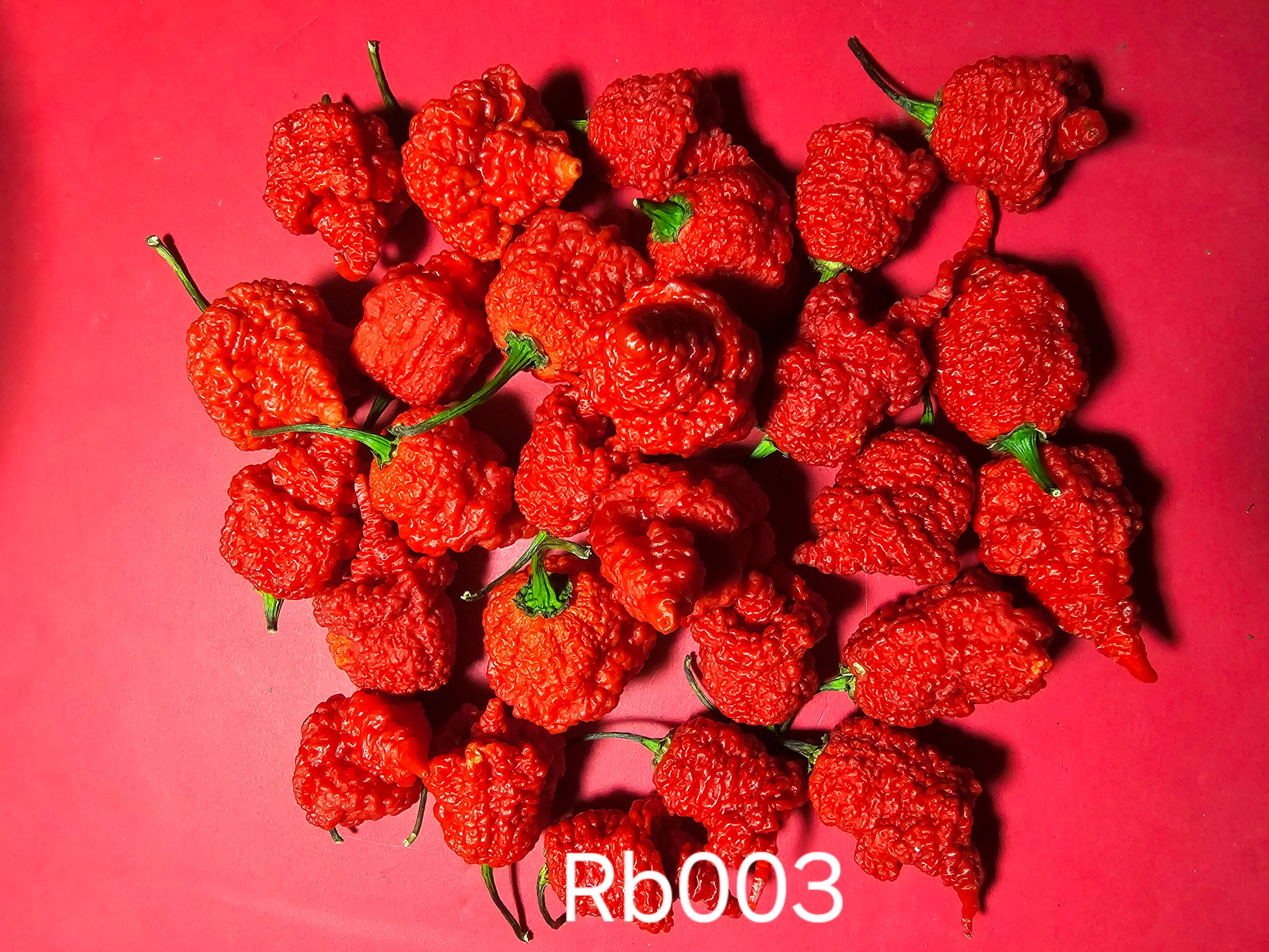 RB003  10 seeds