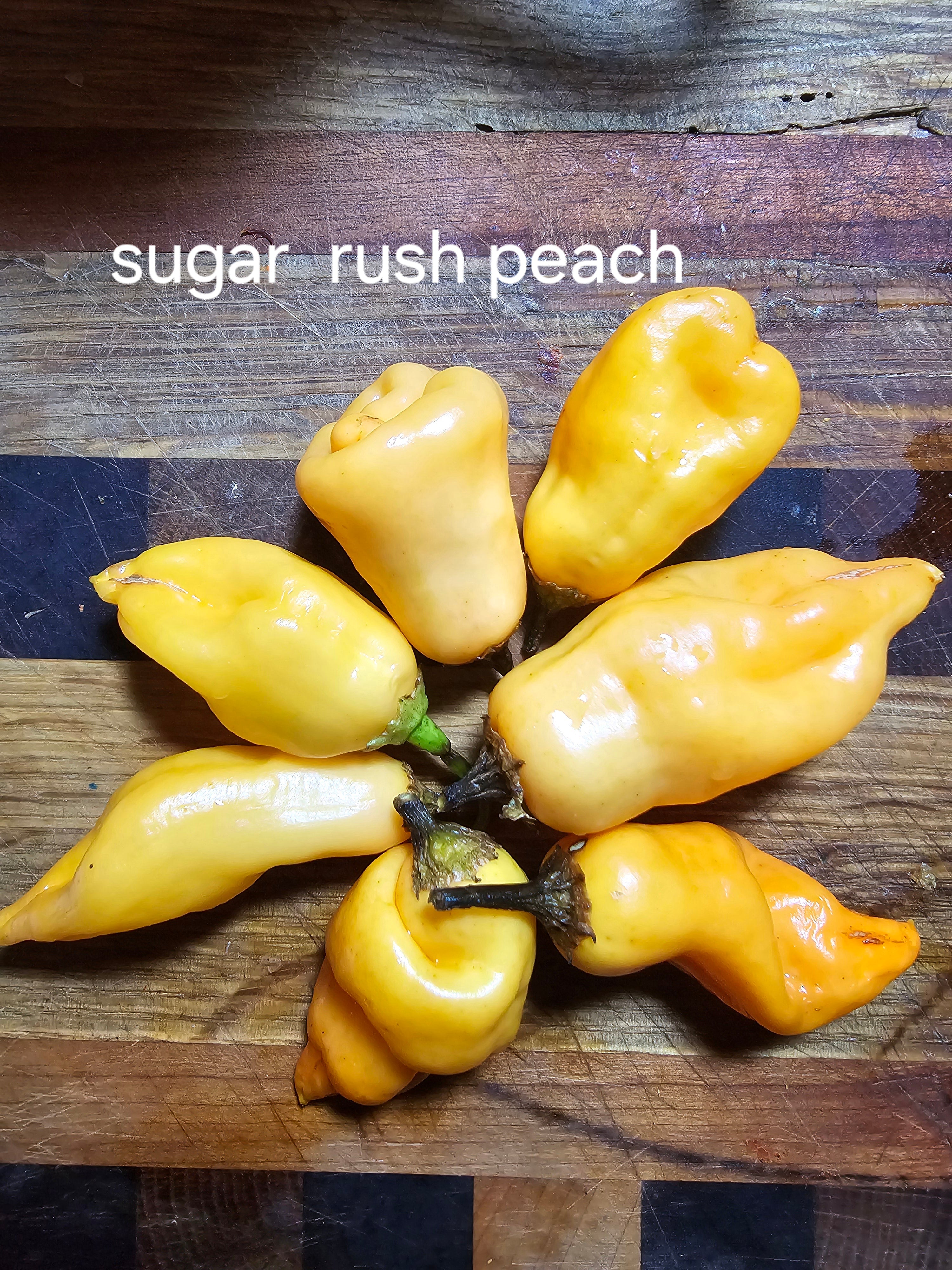 Sugar rush peach. 10 seeds