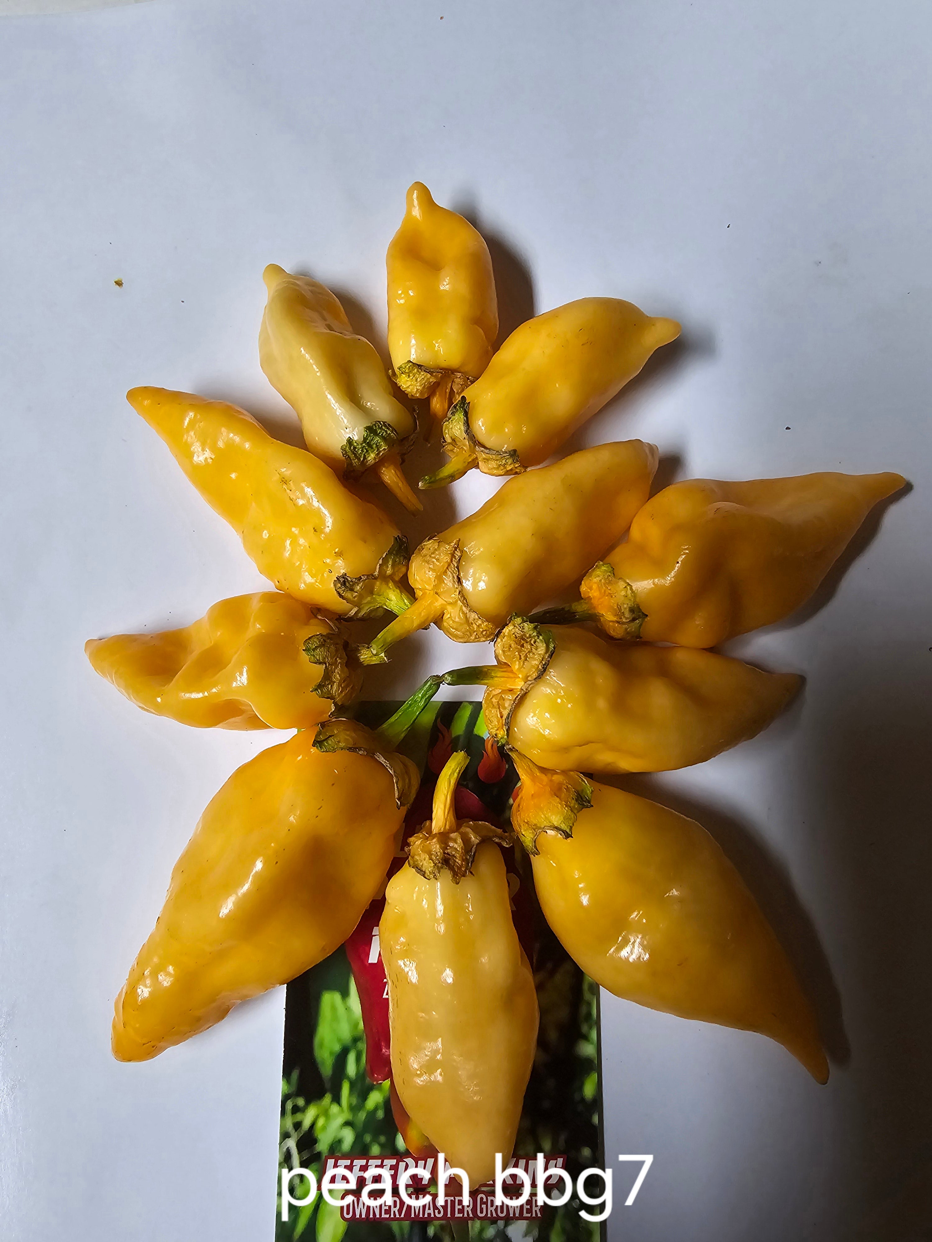 Peach bbg7. 10 seeds