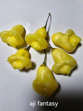 Aji fantasy. 15 seeds non isolated