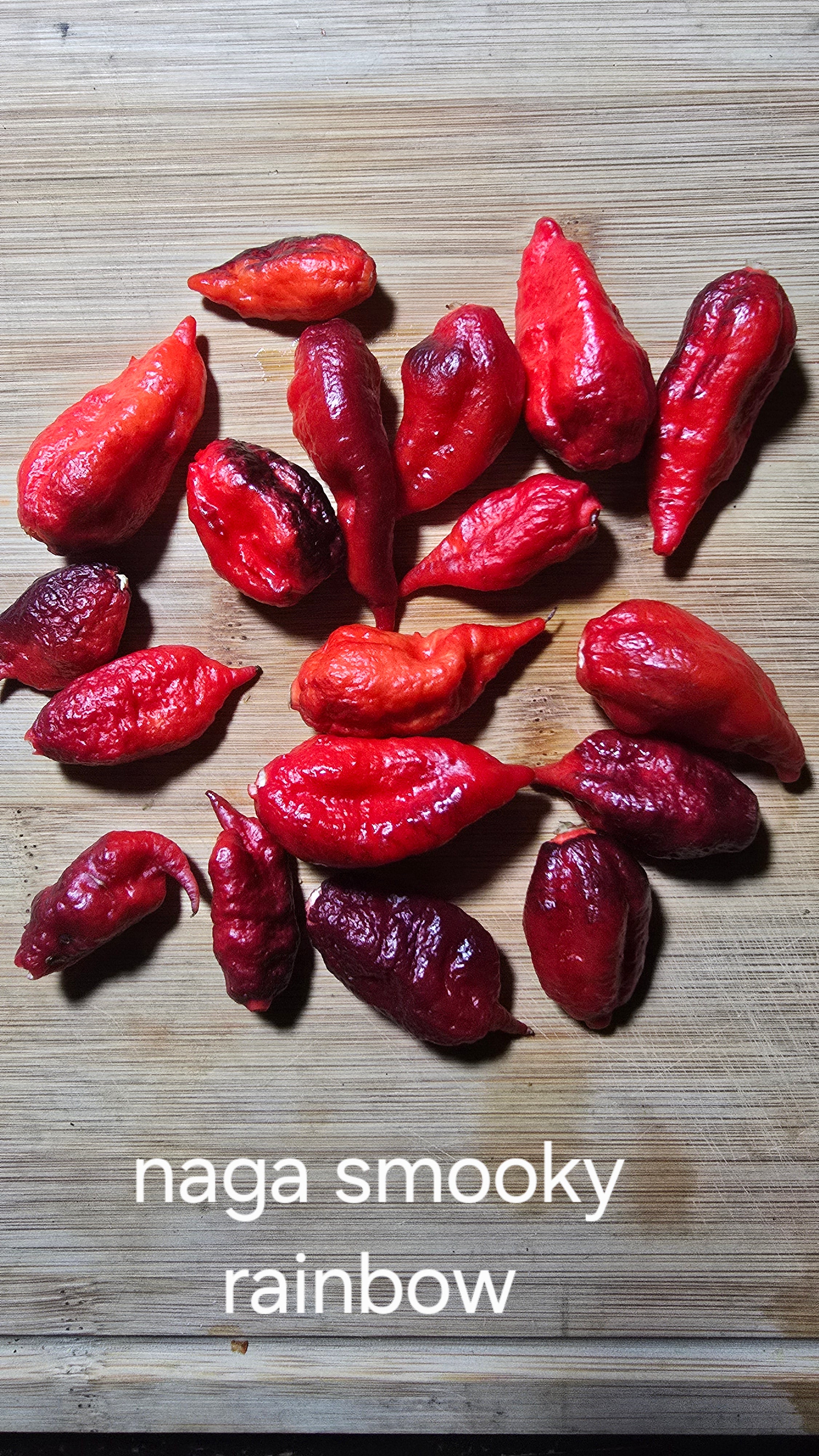 Naga smooky rainbow. 10 seeds