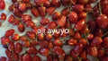 Aji ayuyo  15 seeds non isolated