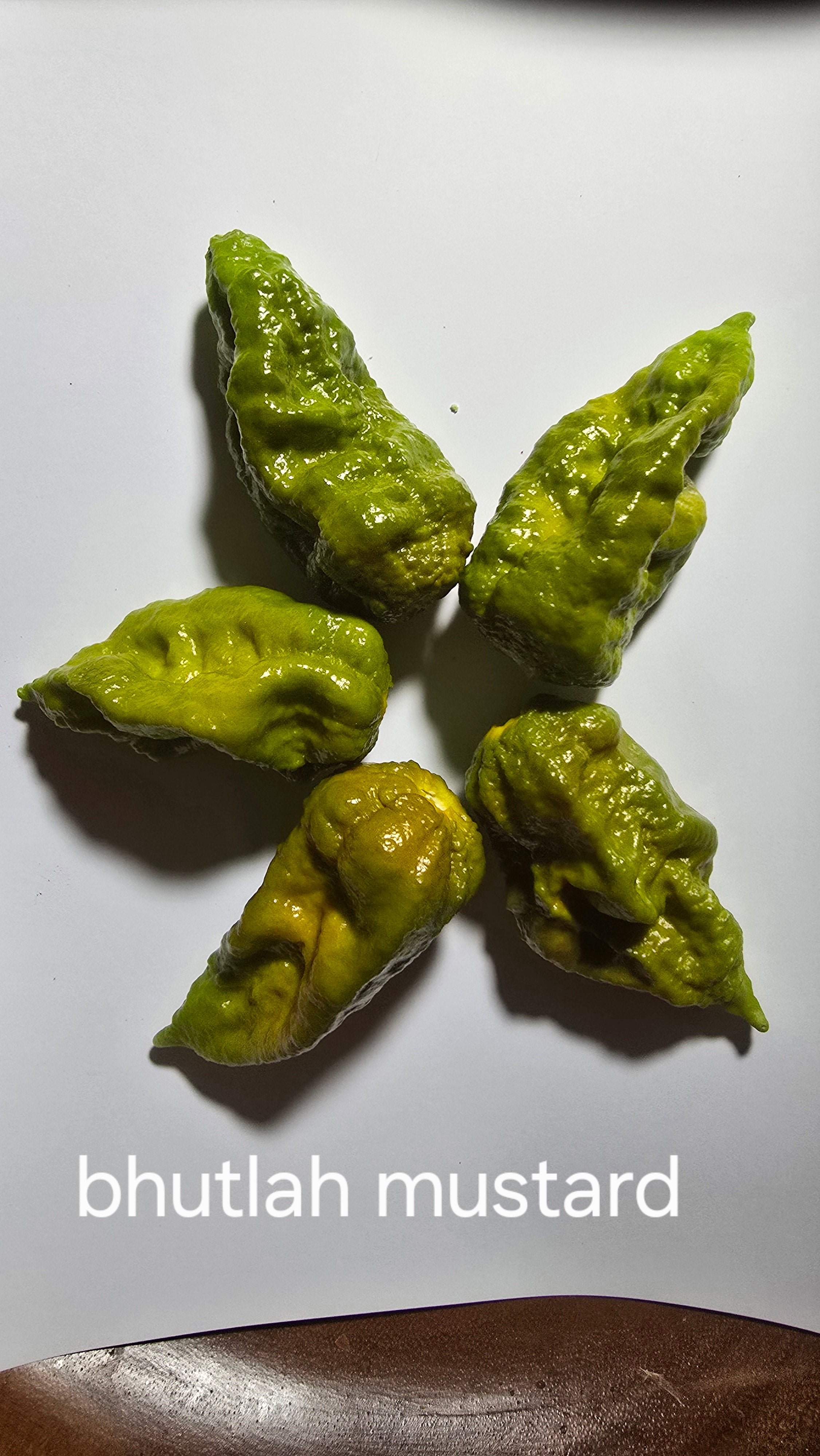 Bhutlah mustard. 10 seeds