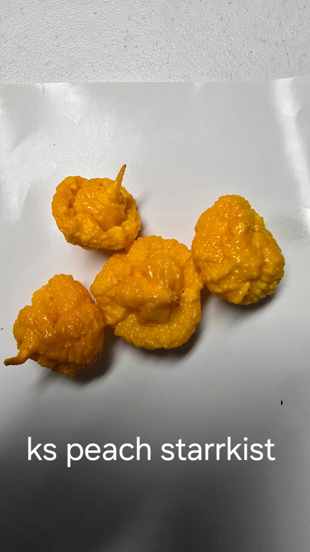 Ks peach starrkist. 10 seeds