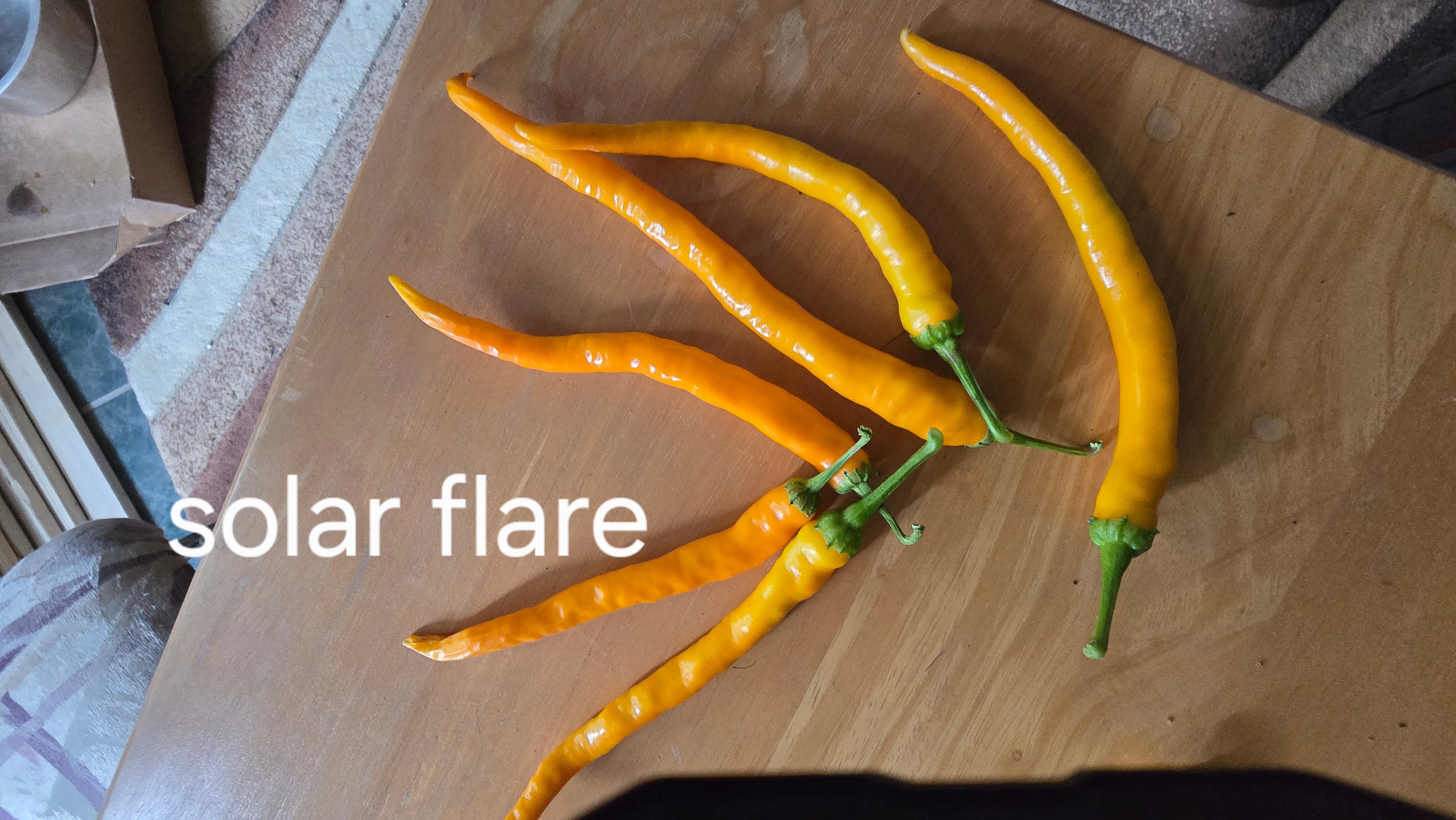 Solar flare  10 seeds