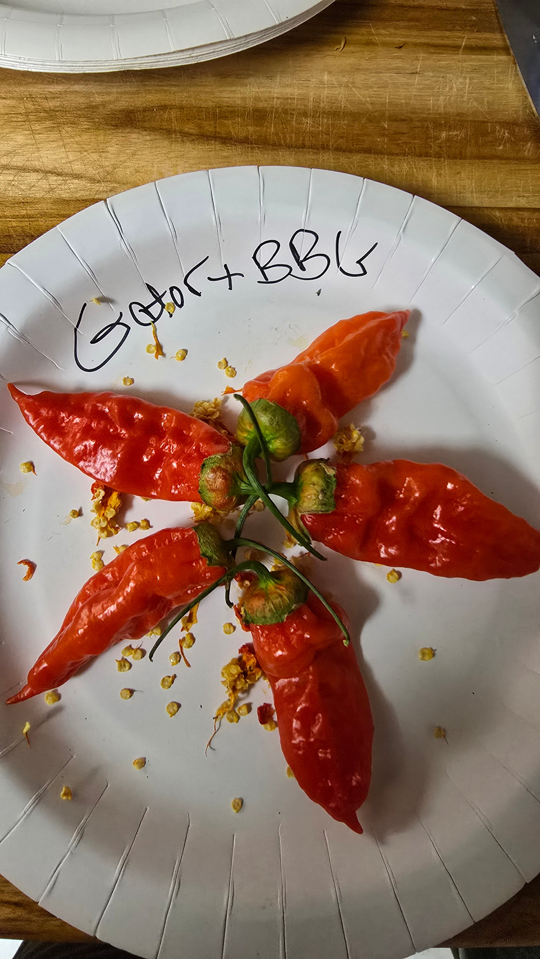 Gator jigsaw × bbg7. 10 seeds