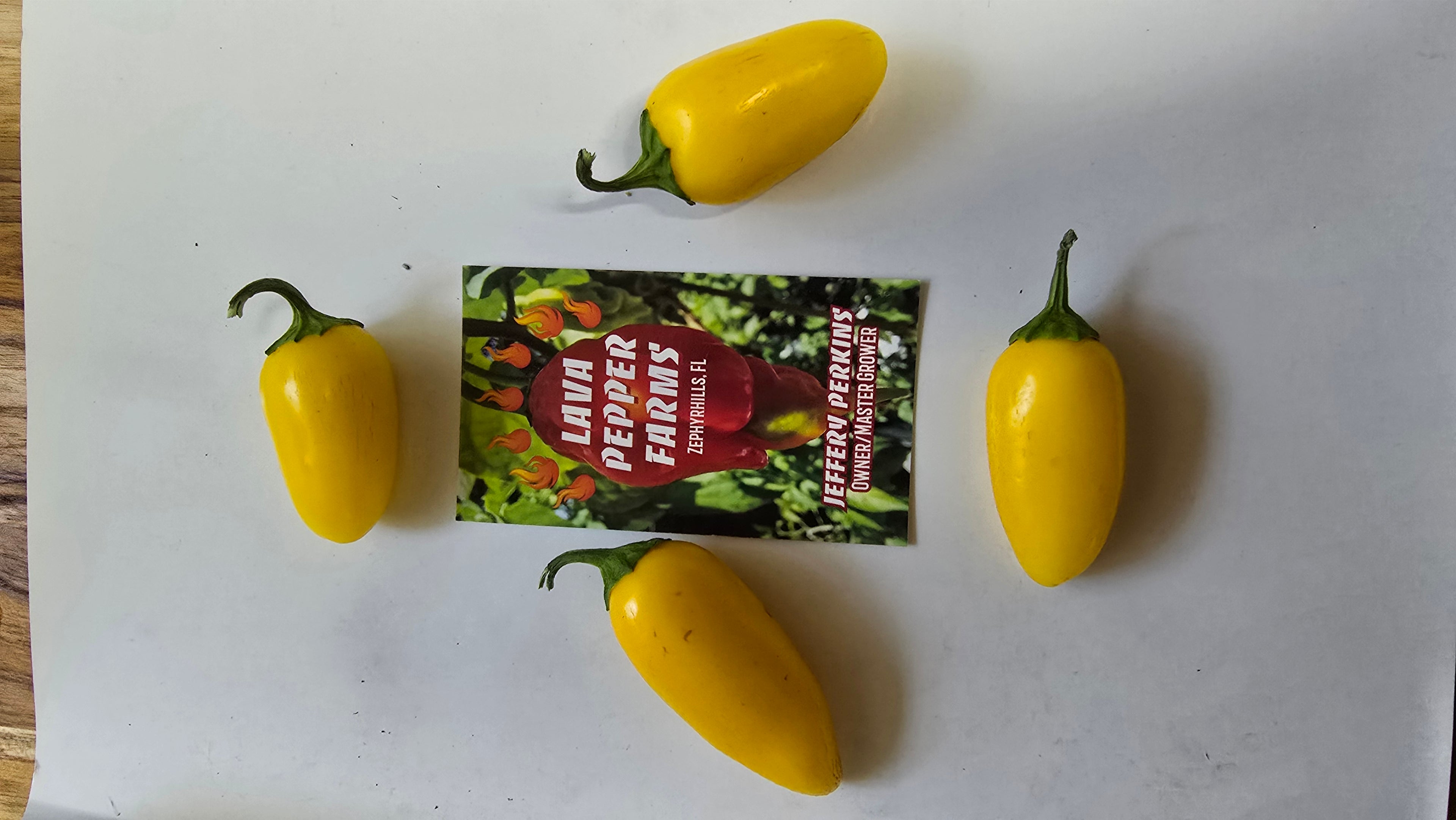 Lemon spice jalapeño. 10 seeds