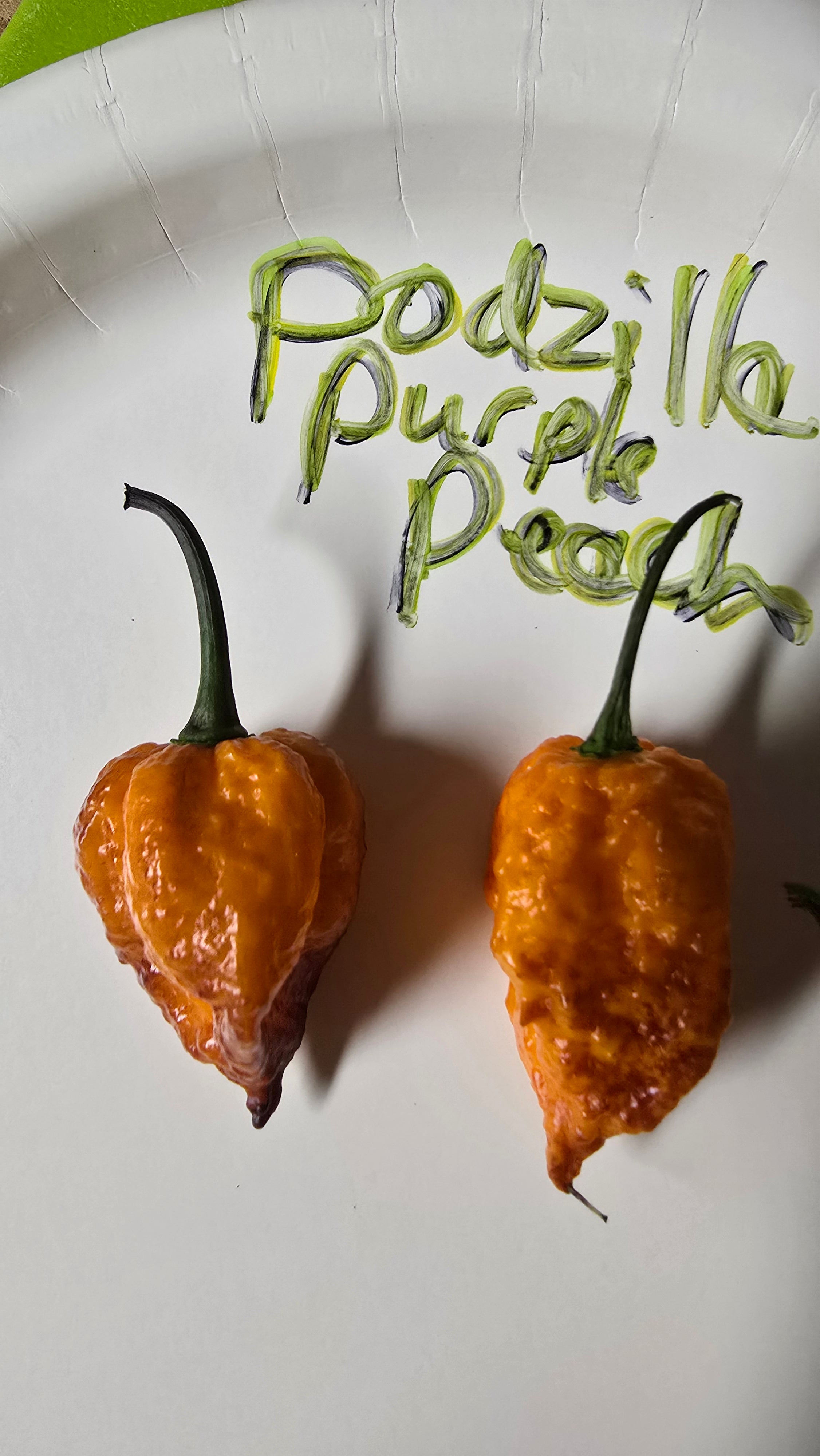 Podzilla Purple peach. 10 seeds