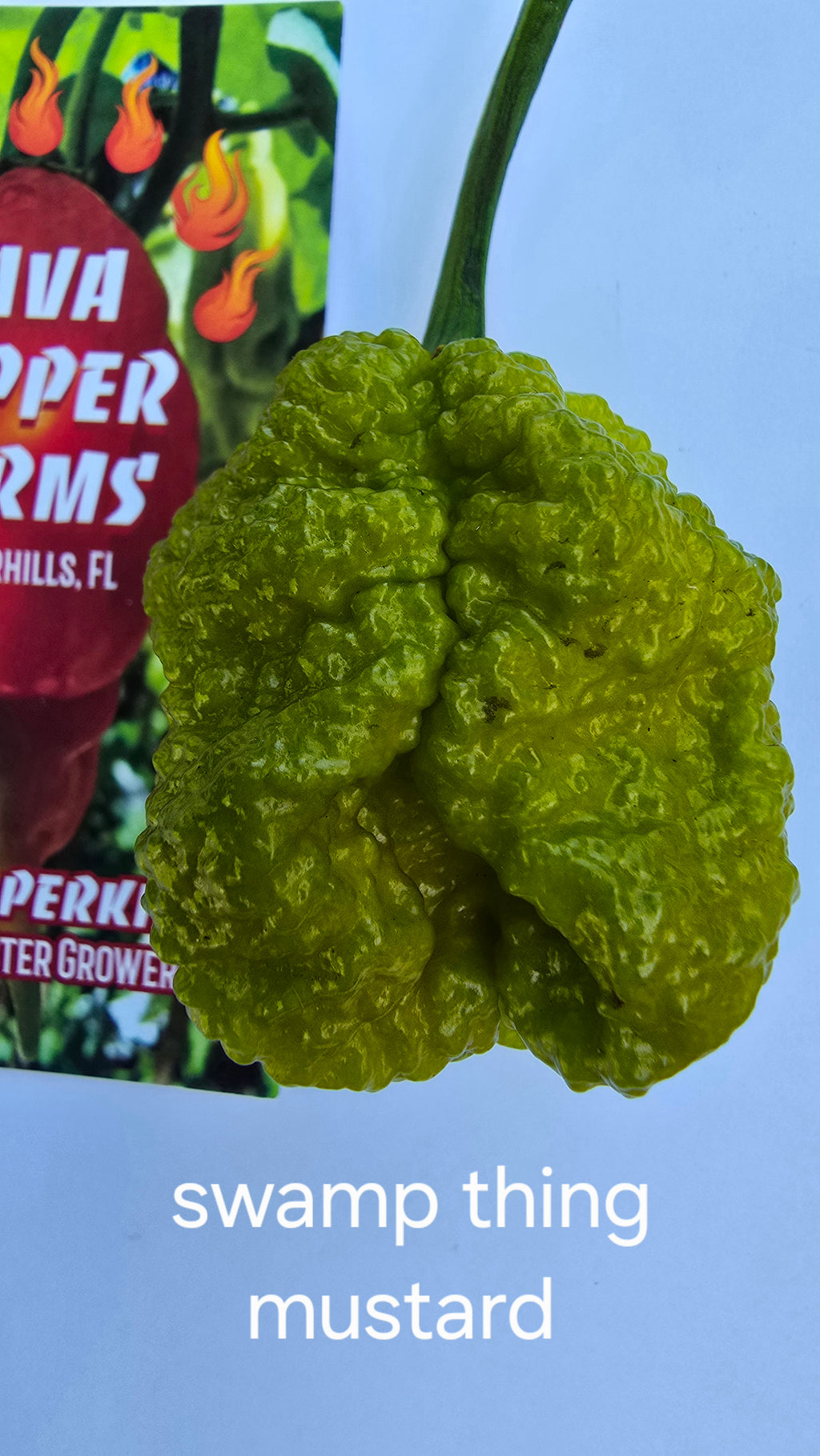 Swamp thing mustard. 10 seeds