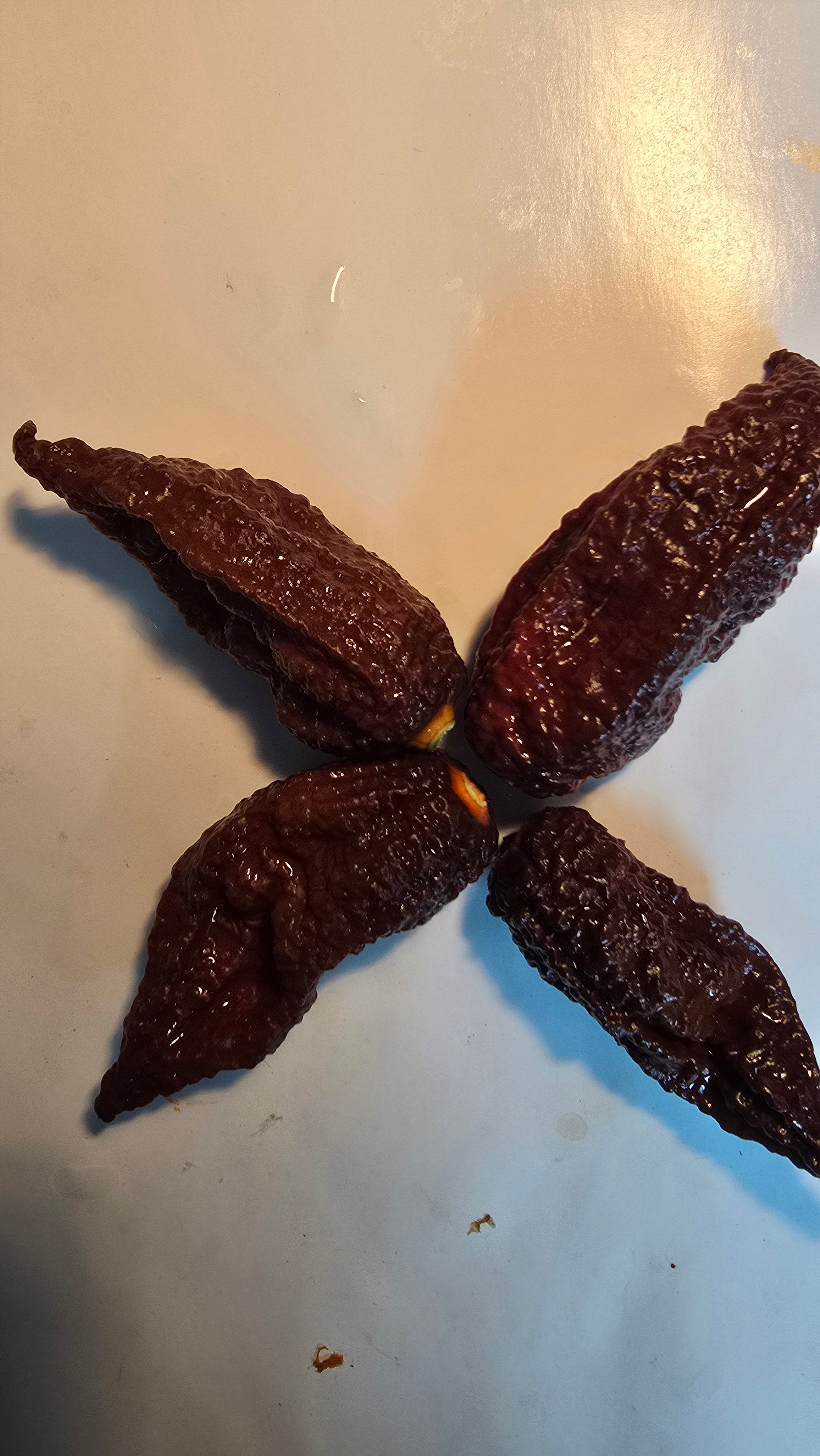 Chocolate bhutlah 10 seeds