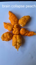Brain collapse peach  10 seeds