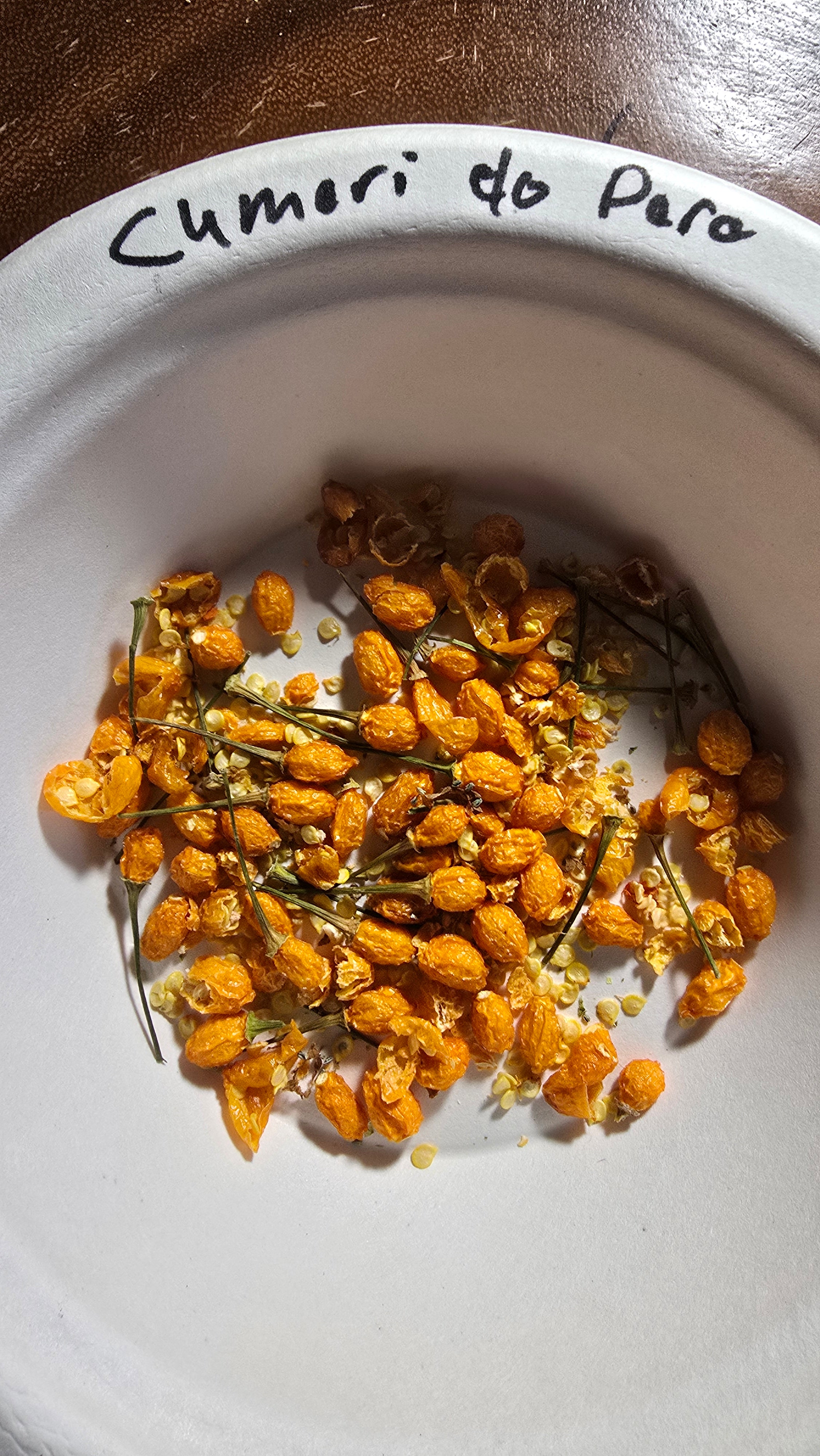 Cumari do para. 12 seeds non isolated