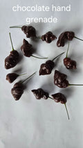 Chocolate hand grenade  12 seeds non isolated