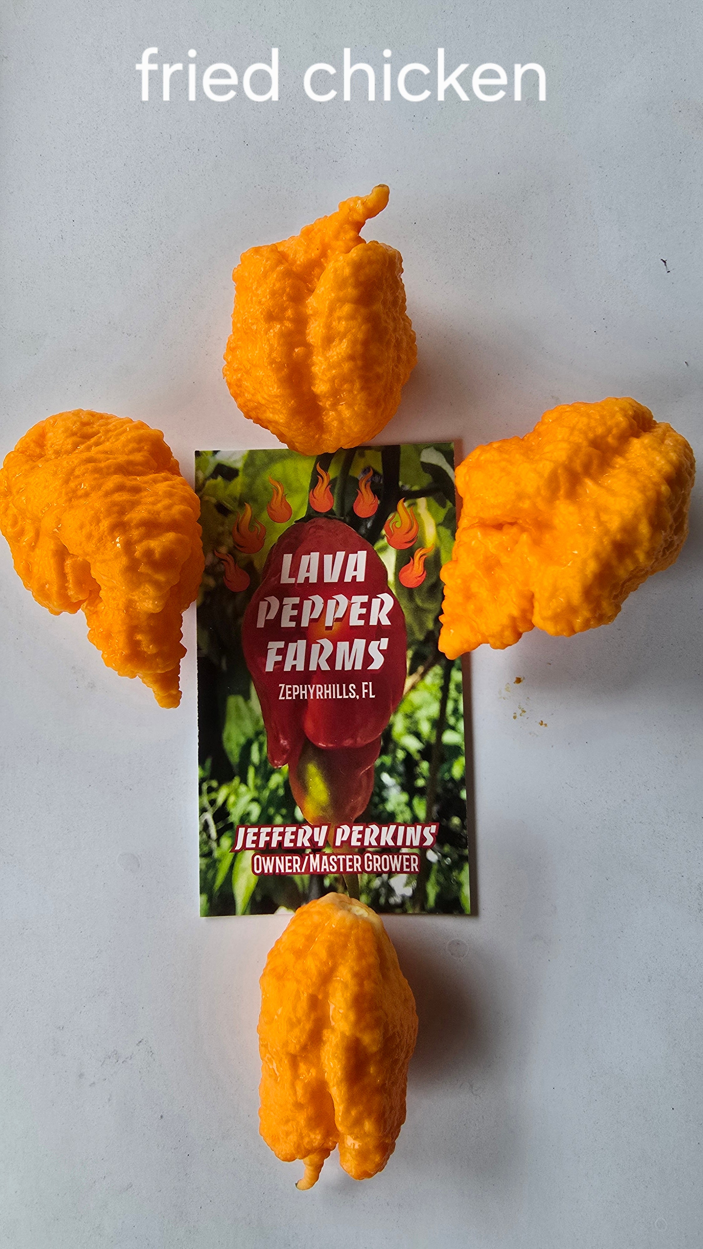 Fried chicken 10 seeds