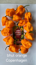 Bhut orange Copenhagen 10 seeds