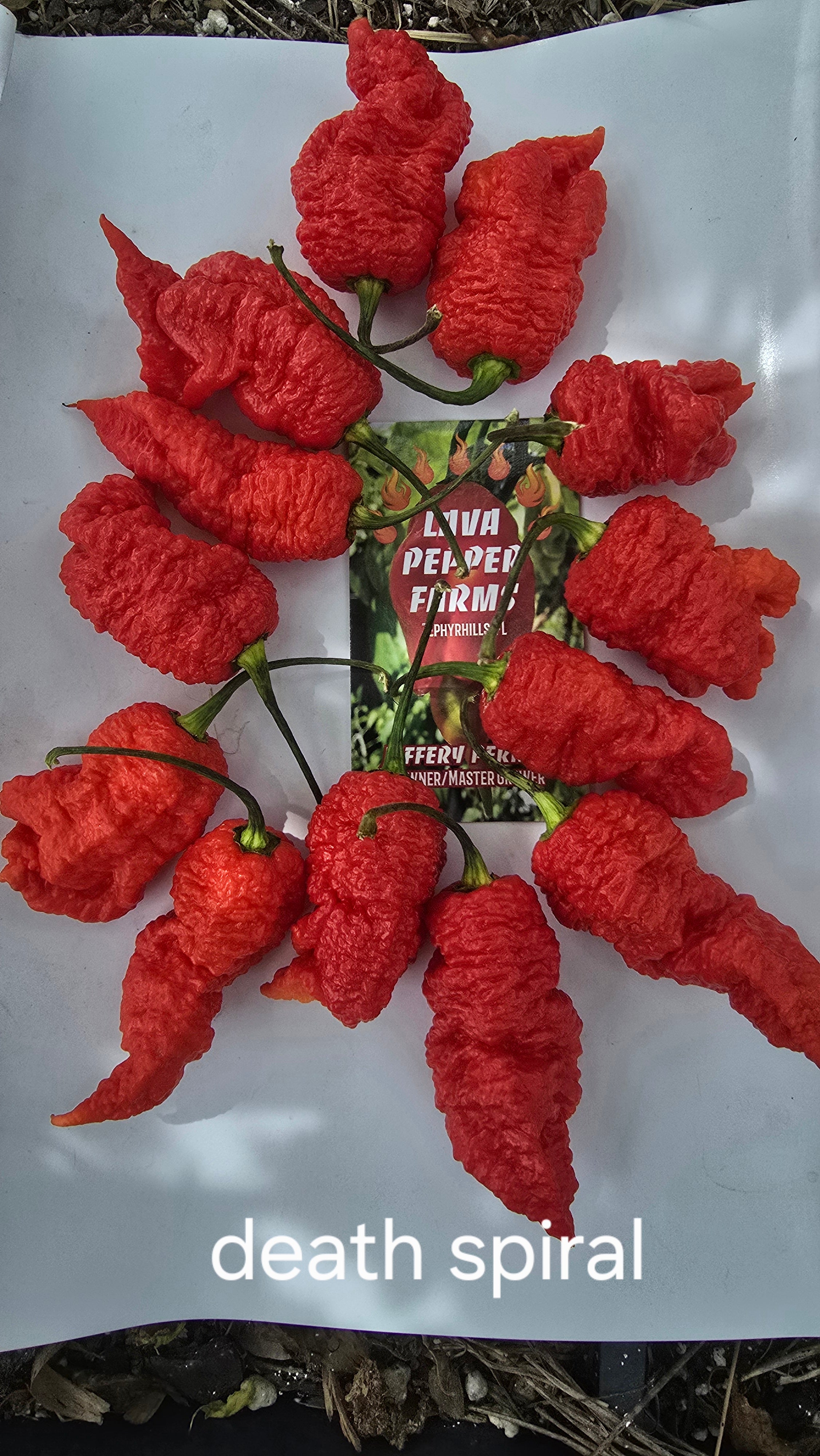 Death spiral. 10 seeds