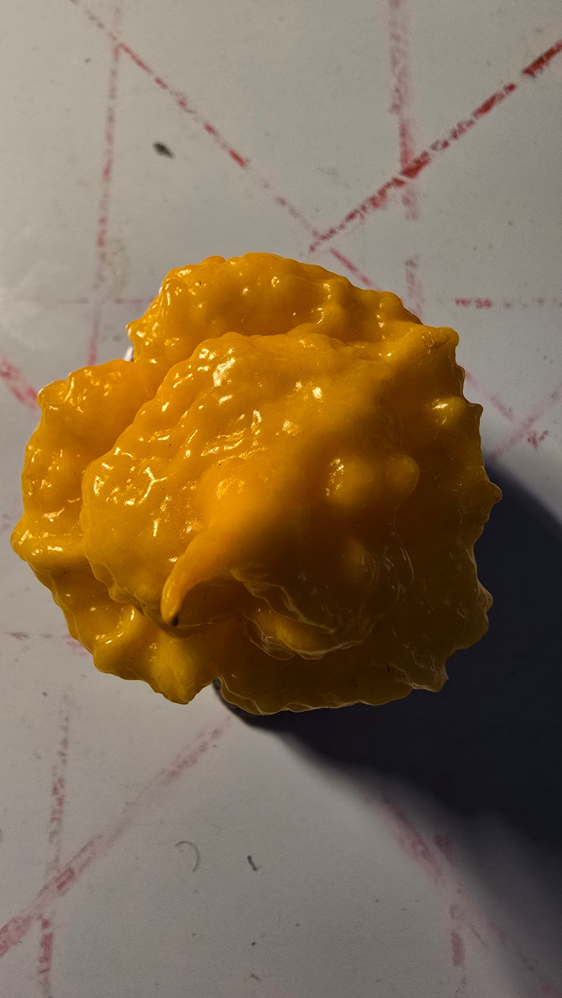 Yellow scotch brain. 10 seeds