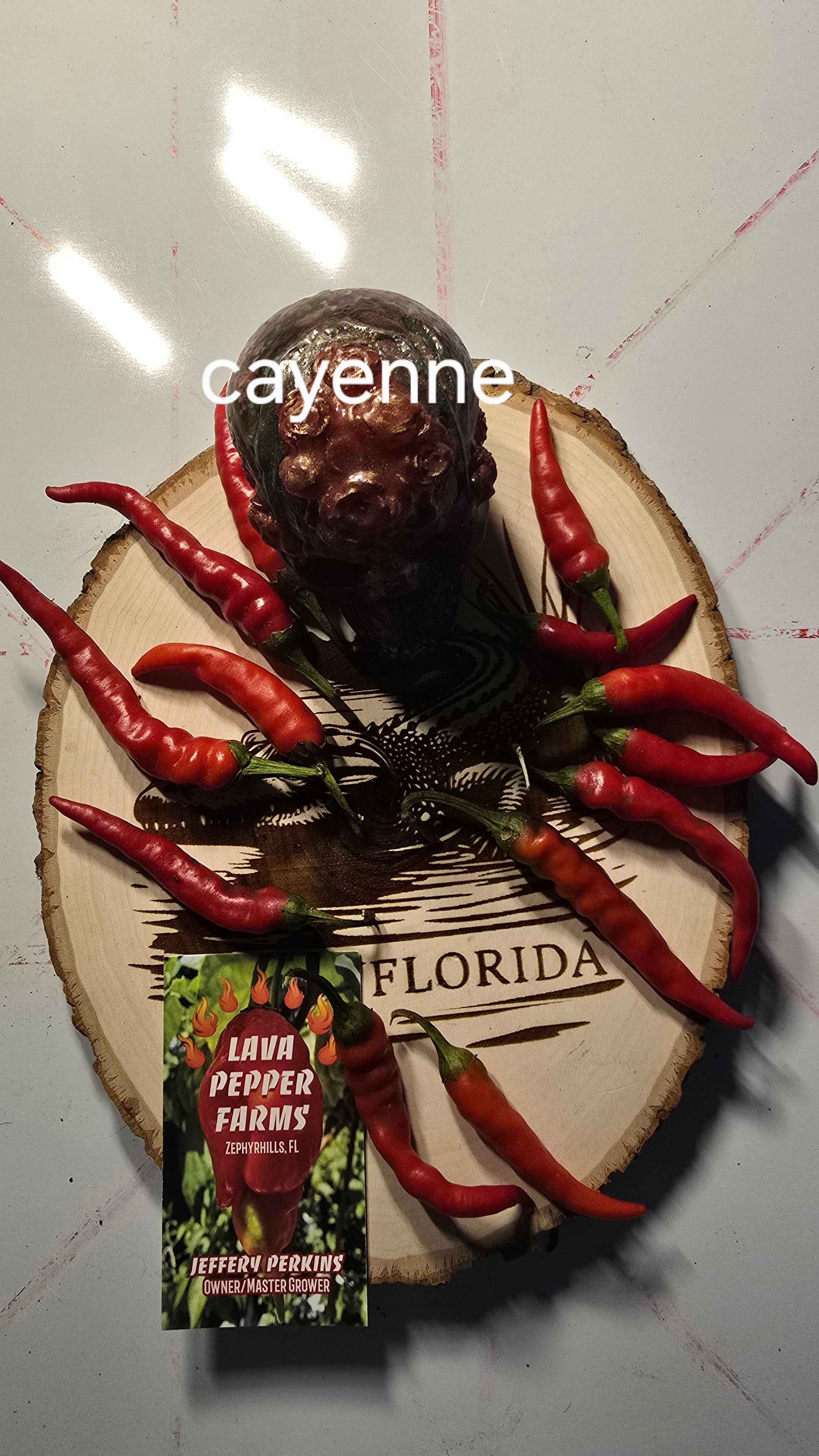 Red cayenne 10 seeds