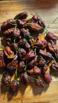 Chocolate bhutlah bbg7 12 seeds non isolated